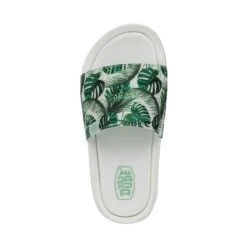 Chandler Youth - Summerdendron -Stepwise Sales Store 40118 3VI CHANDLERYOUTH SUMMERDENDRON LEFTTOP