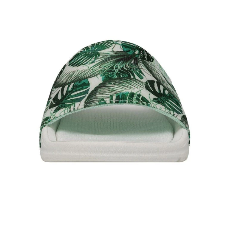 Stepwise Sales Store -Stepwise Sales Store 40118 3VI CHANDLERYOUTH SUMMERDENDRON LEFTFRONT 768x768 1